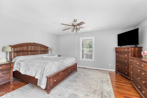 Tiny photo for 2433 Green Rd, Cosby, TN 37722 (MLS # 1340327)