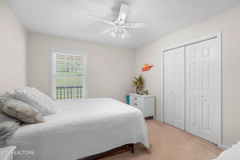 Tiny photo for 2433 Green Rd, Cosby, TN 37722 (MLS # 1340327)