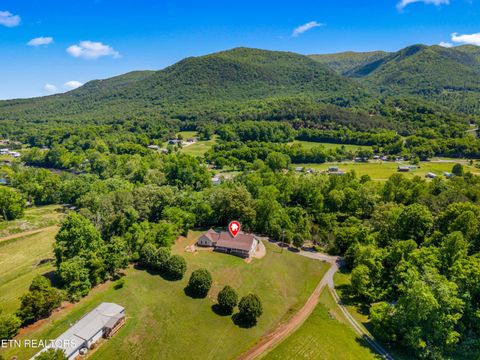 Tiny photo for 2433 Green Rd, Cosby, TN 37722 (MLS # 1340327)