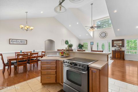 Tiny photo for 2433 Green Rd, Cosby, TN 37722 (MLS # 1340327)