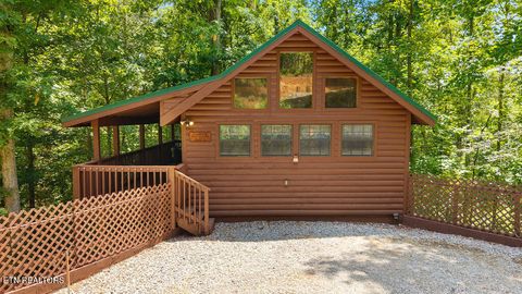 1607 S Mountain View Rd Sevierville TN 37876