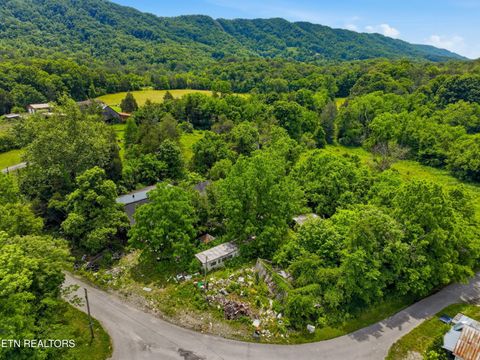 Tiny photo for 136 Clinchview Lane, Washburn, TN 37888 (MLS # 1343189)