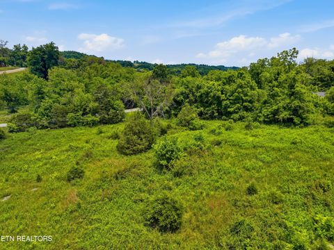Tiny photo for 136 Clinchview Lane, Washburn, TN 37888 (MLS # 1343189)