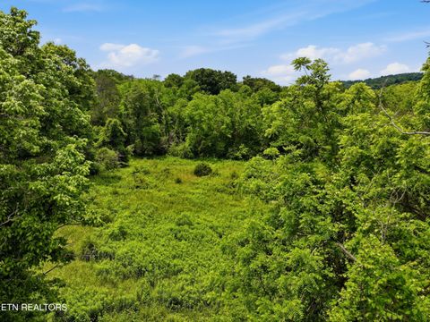 Tiny photo for 136 Clinchview Lane, Washburn, TN 37888 (MLS # 1343189)