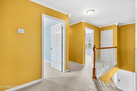 Tiny photo for 7630 Racing Run Rd, Knoxville, TN 37920 (MLS # 1325978)