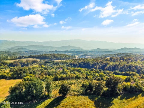 Tiny photo for 162 Epley Rd, Newport, TN 37821 (MLS # 1357696)