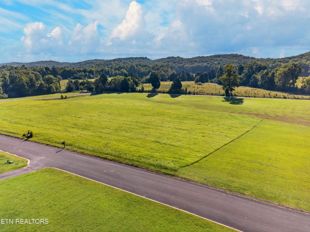 Photo of 0 Spring Harbor Drive #Lot 33, Spring City, TN 37381 (MLS # 1353286)