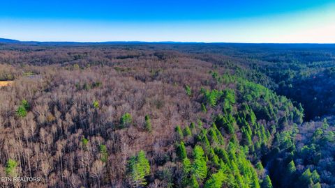 Photo of 3 Ervin Brown Rd #Tract 3, Sunbright, TN 37872 (MLS # 1336258)