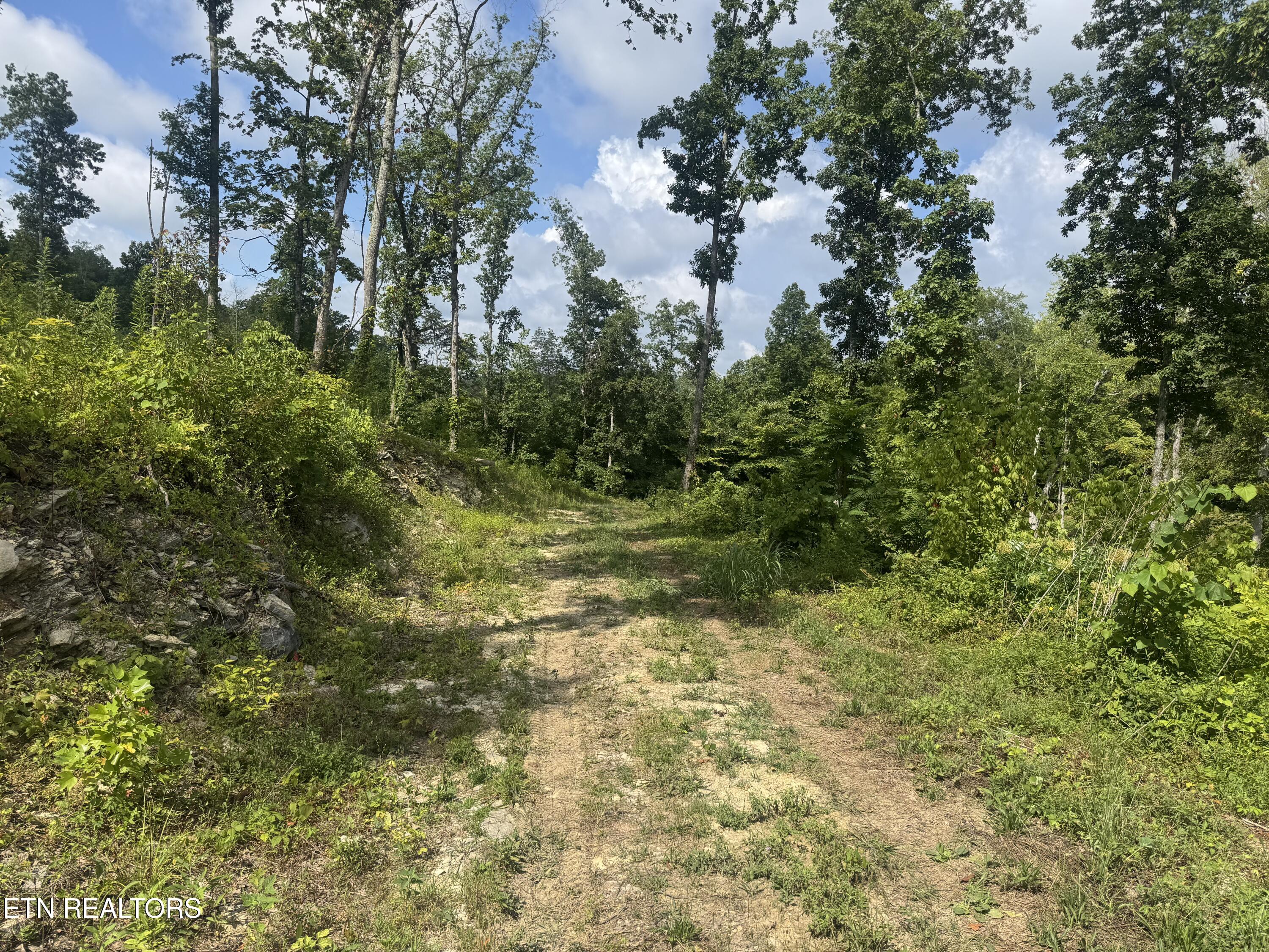 Tract 2 Mill Creek Rd