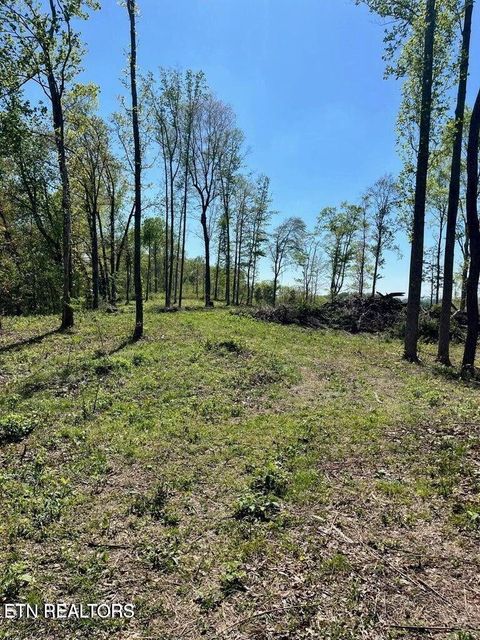 Tract 2 Mill Creek Rd Andersonville TN 37705