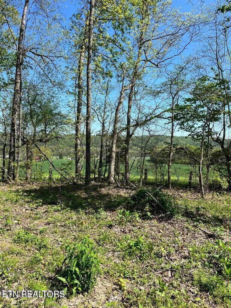 Tract 2 Mill Creek Rd