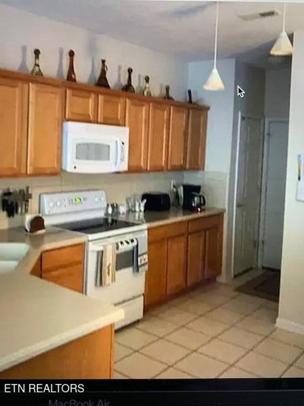 Photo of 167 Daleyuhski Way, Loudon, TN 37774 (MLS # 1324212)