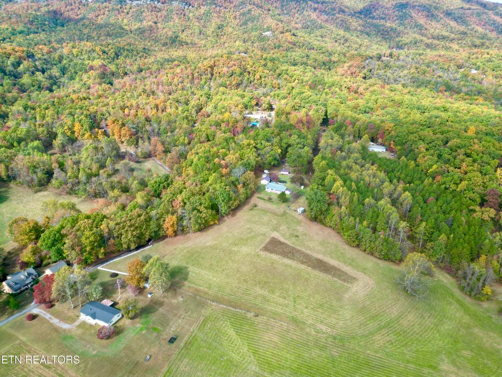 Photo of 990 Keener Rd, Kodak, TN 37764 (MLS # 1324820)