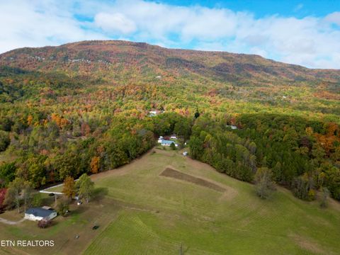 Photo of 990 Keener Rd, Kodak, TN 37764 (MLS # 1324820)