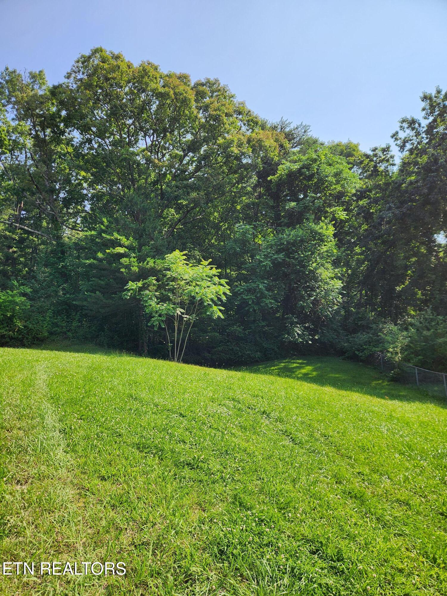 710 Canton Hollow Rd