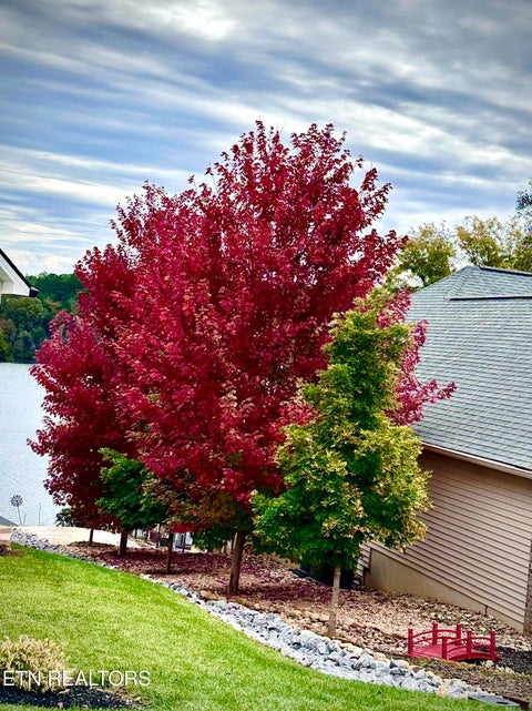 Tiny photo for 215 Tecumseh Way, Loudon, TN 37774 (MLS # 1355579)