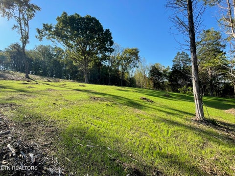 Tiny photo for Williams Bend Rd #Lot 1, Knoxville, TN 37932 (MLS # 1357986)
