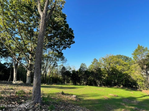 Tiny photo for Williams Bend Rd #Lot 1, Knoxville, TN 37932 (MLS # 1357986)