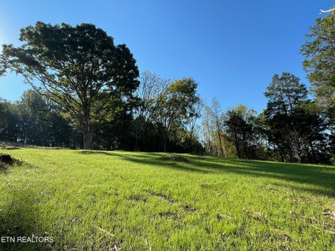 Tiny photo for Williams Bend Rd #Lot 1, Knoxville, TN 37932 (MLS # 1357986)