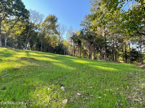 Tiny photo for Williams Bend Rd #Lot 1, Knoxville, TN 37932 (MLS # 1357986)