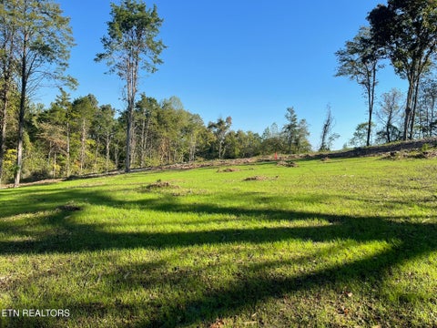 Tiny photo for Williams Bend Rd #Lot 1, Knoxville, TN 37932 (MLS # 1357986)