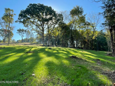 Tiny photo for Williams Bend Rd #Lot 1, Knoxville, TN 37932 (MLS # 1357986)