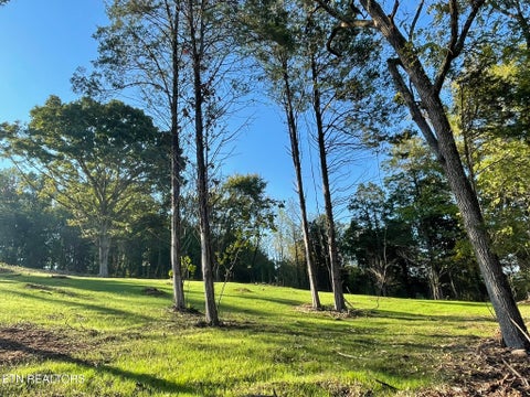 Tiny photo for Williams Bend Rd #Lot 1, Knoxville, TN 37932 (MLS # 1357986)