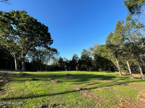 Tiny photo for Williams Bend Rd #Lot 1, Knoxville, TN 37932 (MLS # 1357986)