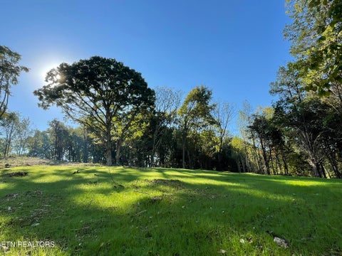 Tiny photo for Williams Bend Rd #Lot 1, Knoxville, TN 37932 (MLS # 1357986)