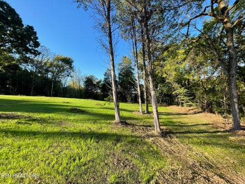 Tiny photo for Williams Bend Rd #Lot 1, Knoxville, TN 37932 (MLS # 1357986)