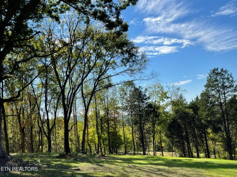 Tiny photo for Williams Bend Rd #Lot 1, Knoxville, TN 37932 (MLS # 1357986)