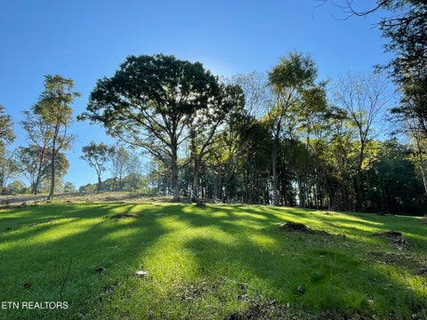 Tiny photo for Williams Bend Rd #Lot 1, Knoxville, TN 37932 (MLS # 1357986)