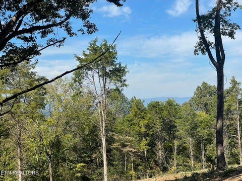 Tiny photo for Williams Bend Rd #Lot 1, Knoxville, TN 37932 (MLS # 1357986)