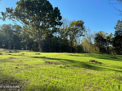 Tiny photo for Williams Bend Rd #Lot 1, Knoxville, TN 37932 (MLS # 1357986)