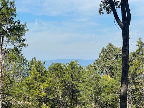 Tiny photo for Williams Bend Rd #Lot 1, Knoxville, TN 37932 (MLS # 1357986)