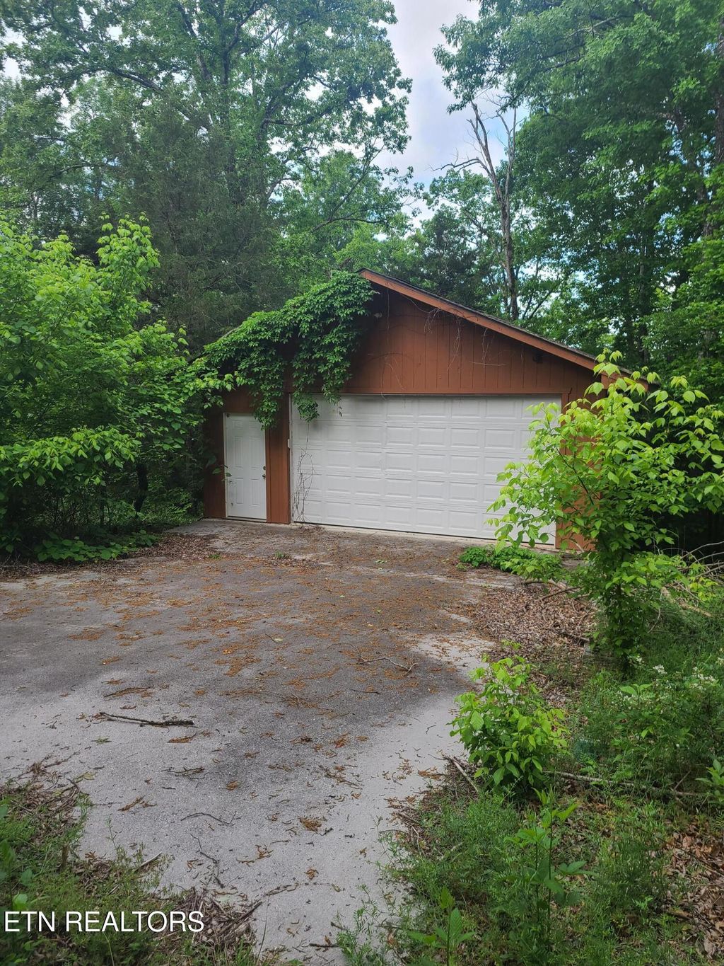 Photo of 126 Johnson Mountain Way, Townsend, TN 37882 (MLS # 1340948)
