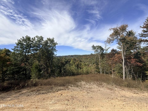Tiny photo for 4575 Upper Crab Rd, Jamestown, TN 38556 (MLS # 1359560)