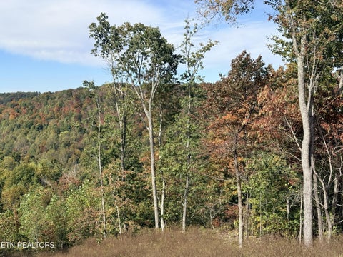 Tiny photo for 4575 Upper Crab Rd, Jamestown, TN 38556 (MLS # 1359560)