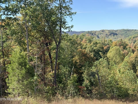Tiny photo for 4575 Upper Crab Rd, Jamestown, TN 38556 (MLS # 1359560)
