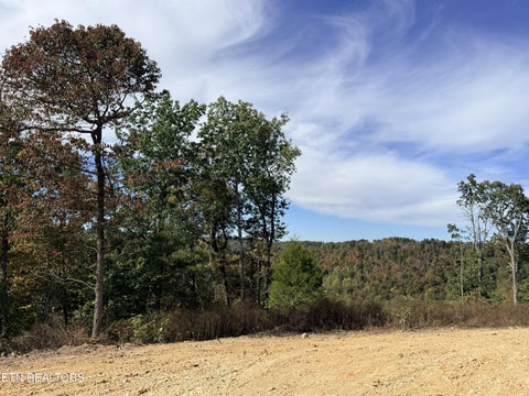 Tiny photo for 4575 Upper Crab Rd, Jamestown, TN 38556 (MLS # 1359560)