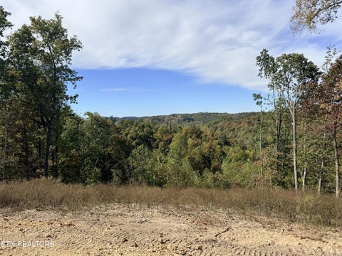 Tiny photo for 4575 Upper Crab Rd, Jamestown, TN 38556 (MLS # 1359560)