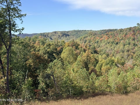 Tiny photo for 4575 Upper Crab Rd, Jamestown, TN 38556 (MLS # 1359560)