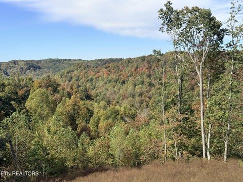 Tiny photo for 4575 Upper Crab Rd, Jamestown, TN 38556 (MLS # 1359560)