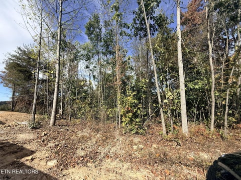 Tiny photo for 4575 Upper Crab Rd, Jamestown, TN 38556 (MLS # 1359560)