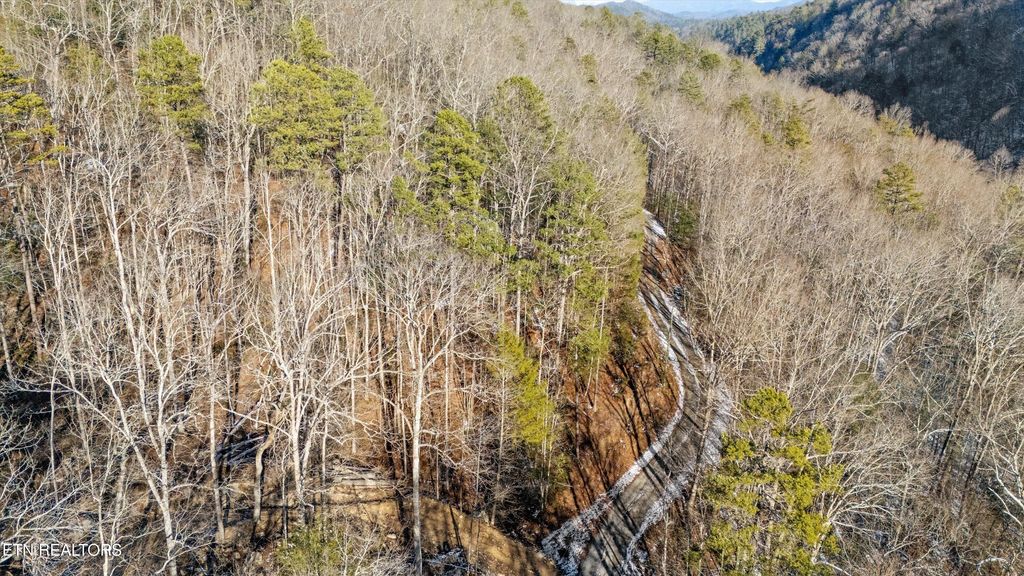 Photo of Lumber Jack Way, Sevierville, TN 37876 (MLS # 1287258)
