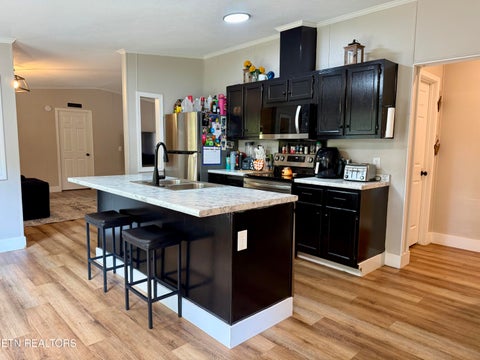 Tiny photo for 2485 McGaha Hollow Rd, Dandridge, TN 37725 (MLS # 1355100)