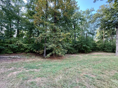 Tiny photo for 2485 McGaha Hollow Rd, Dandridge, TN 37725 (MLS # 1355100)
