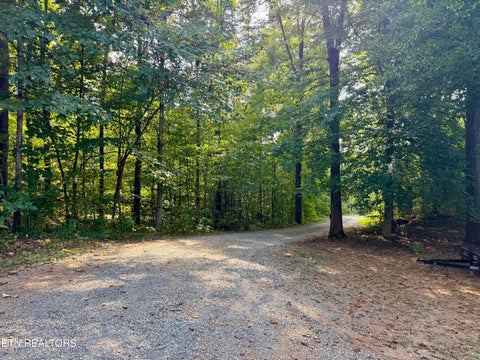 Tiny photo for 2485 McGaha Hollow Rd, Dandridge, TN 37725 (MLS # 1355100)