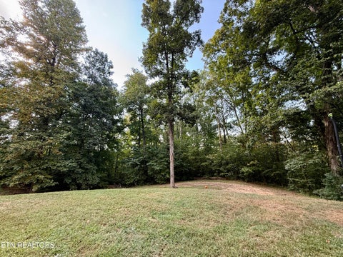 Tiny photo for 2485 McGaha Hollow Rd, Dandridge, TN 37725 (MLS # 1355100)