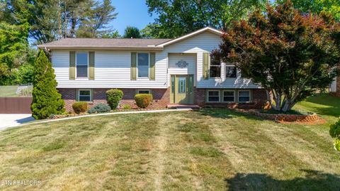 Photo of 108 Vanderview Drive, Seymour, TN 37865 (MLS # 1342089)